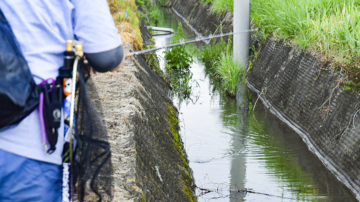 トップウォーターでねらう！ナマズ釣り入門 その3（全3回） | 全国